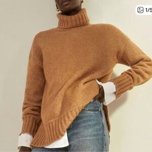 Everlane Cloud Turtleneck Sweater